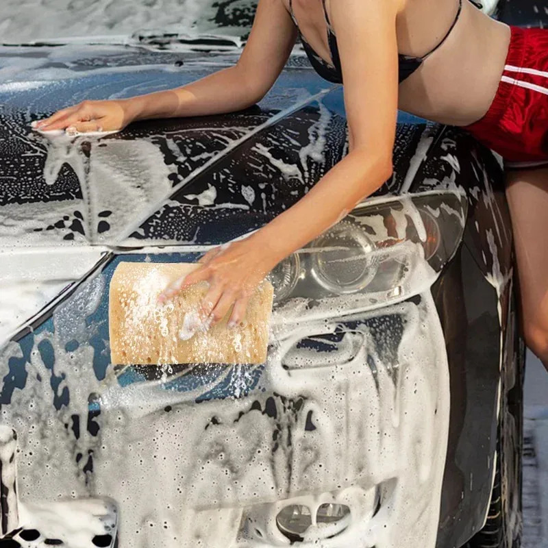 Car Washing Sponge Large Honey - Car Detailing Brush 评论和价格